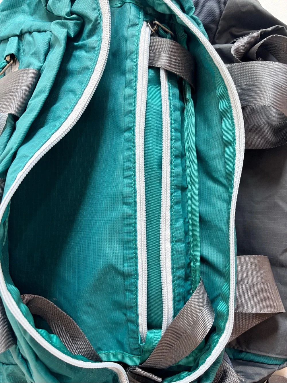 Patagonia packable backpack
